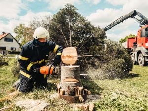 Mulch in Orange County