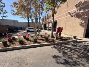 {{ custom_values.service_1 }} in {{custom_values.area_2})