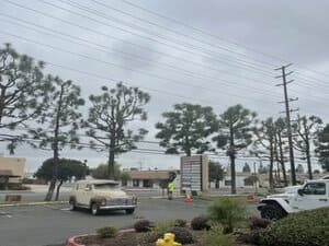 Plant & Tree installation in Orange County