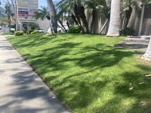 {{ custom_values.service_4 }} in {{custom_values.area_3})