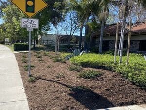 Tree trimming in Inland Empire