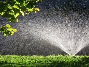 {{ custom_values.service_4 }} in {{custom_values.area_3})