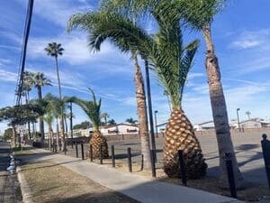 Commercial Maintenance in Inland Empire