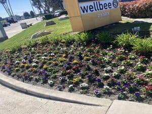 irrigation in Orange County