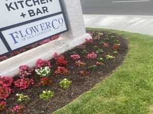 Plant & Tree installation in Inland Empire