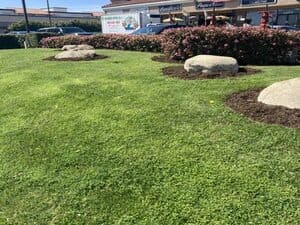Mulch in Orange County