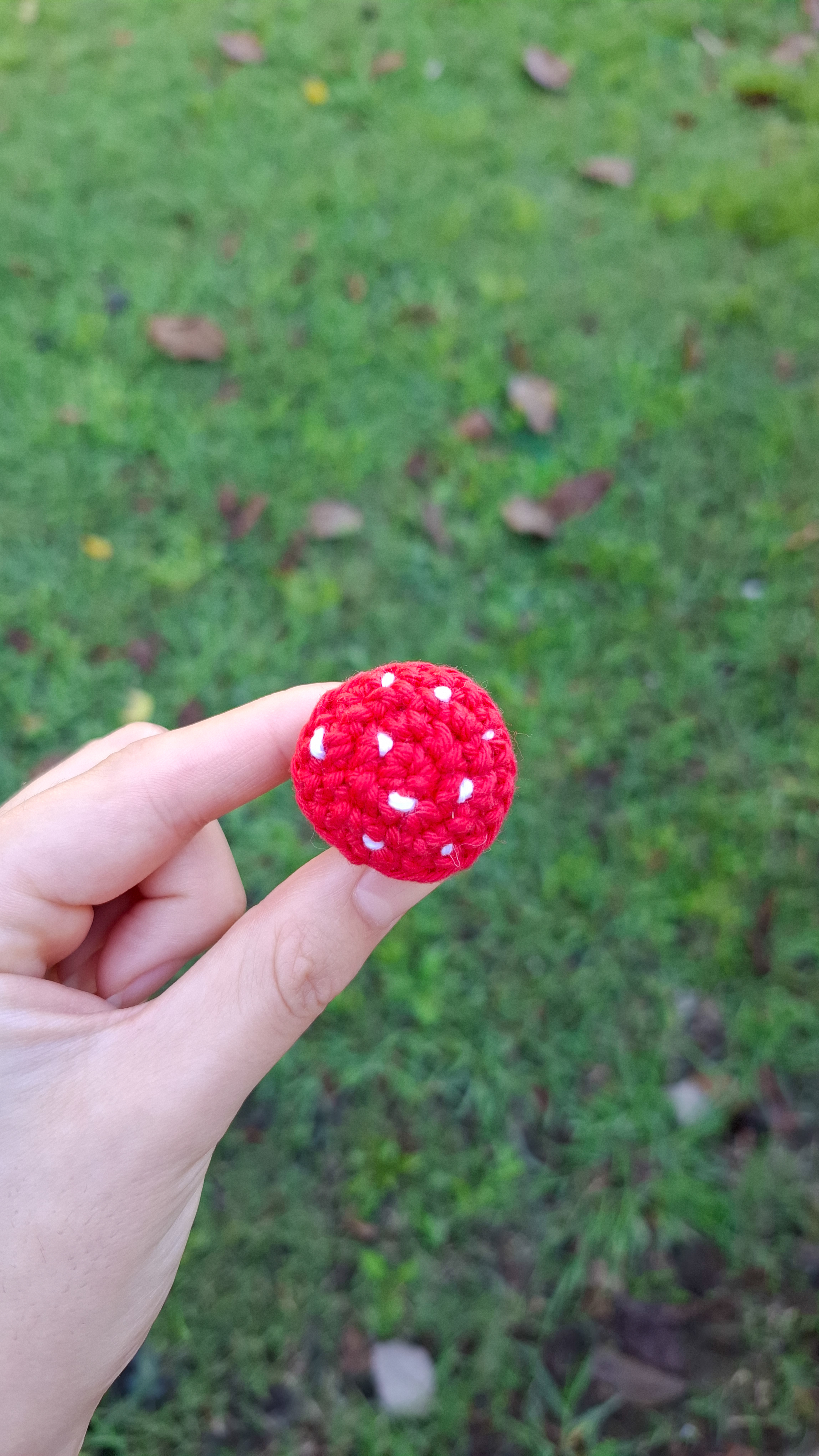 Crochet mushroom cap