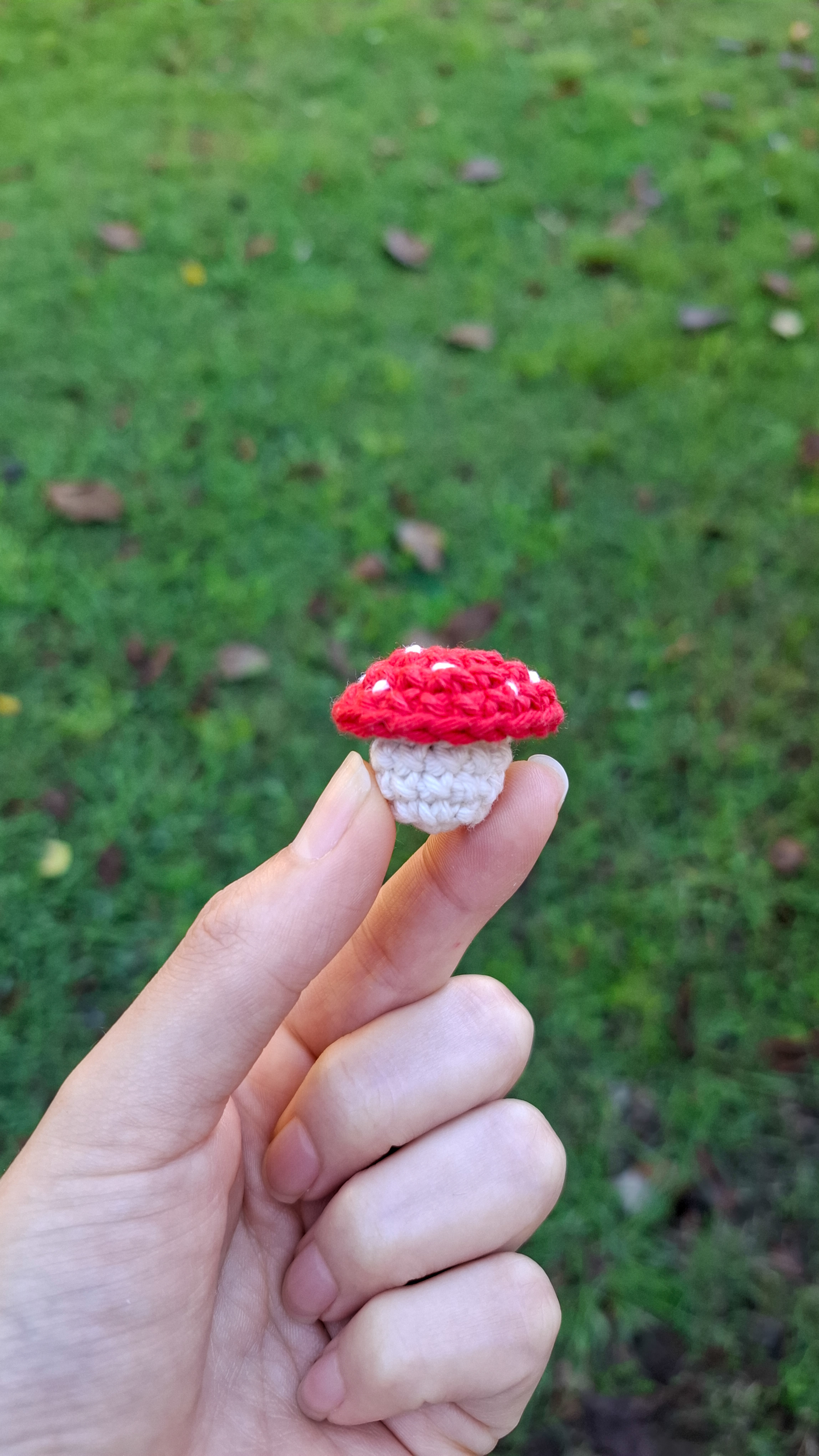 Tiny crochet mushroom