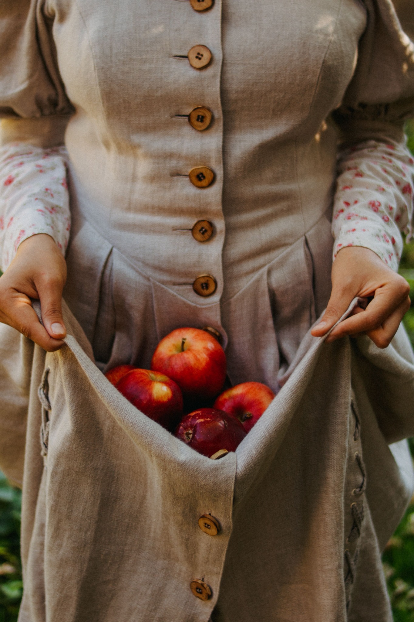 Hands carrying locally gathered apples