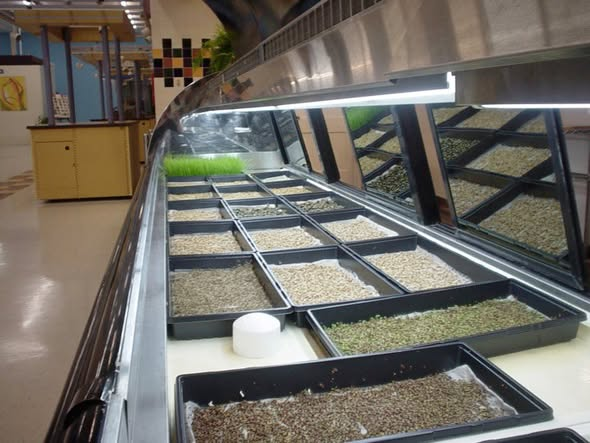 Austin Chronicle Best Microbusiness Incubator recognition