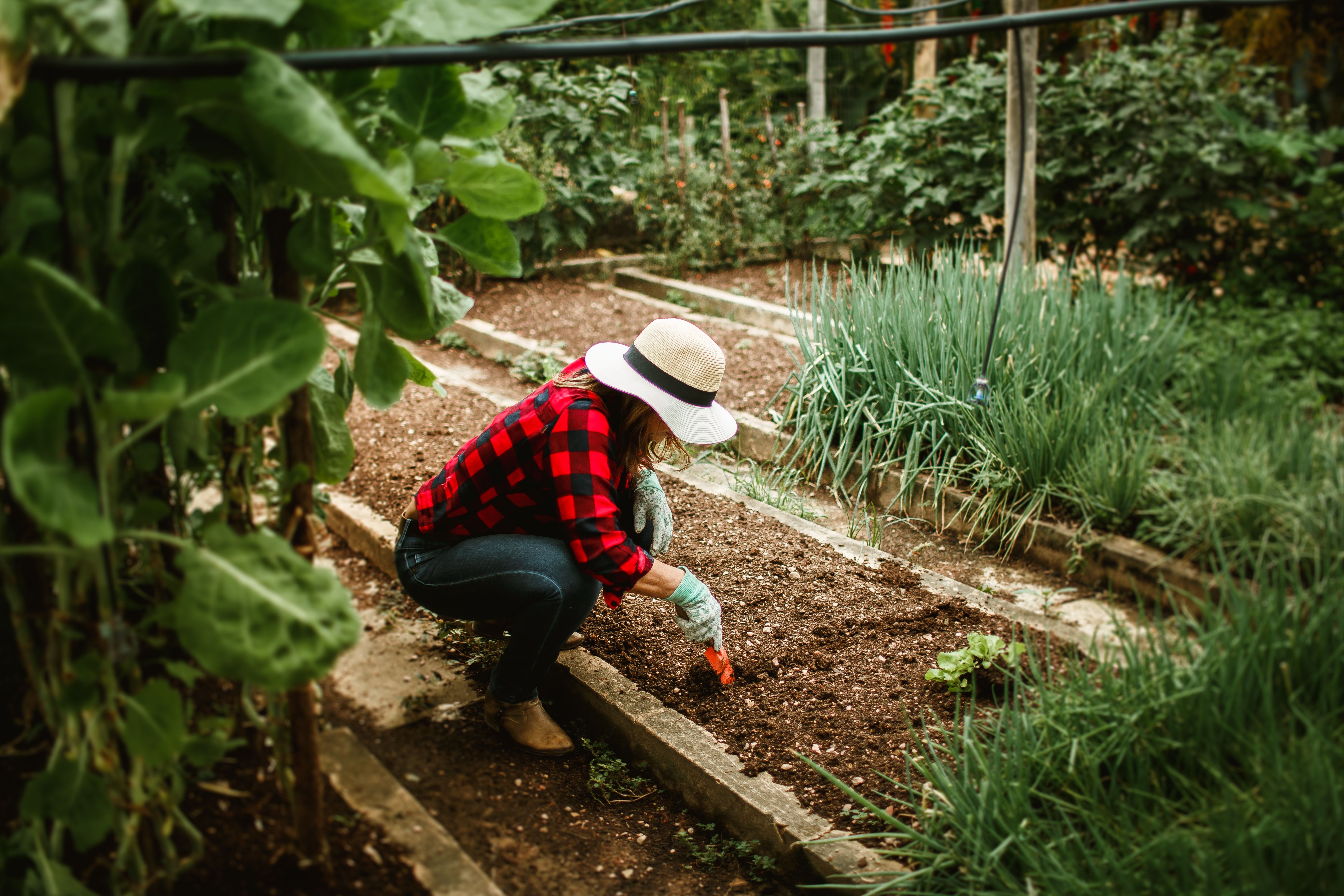 Woman working in a productive garden