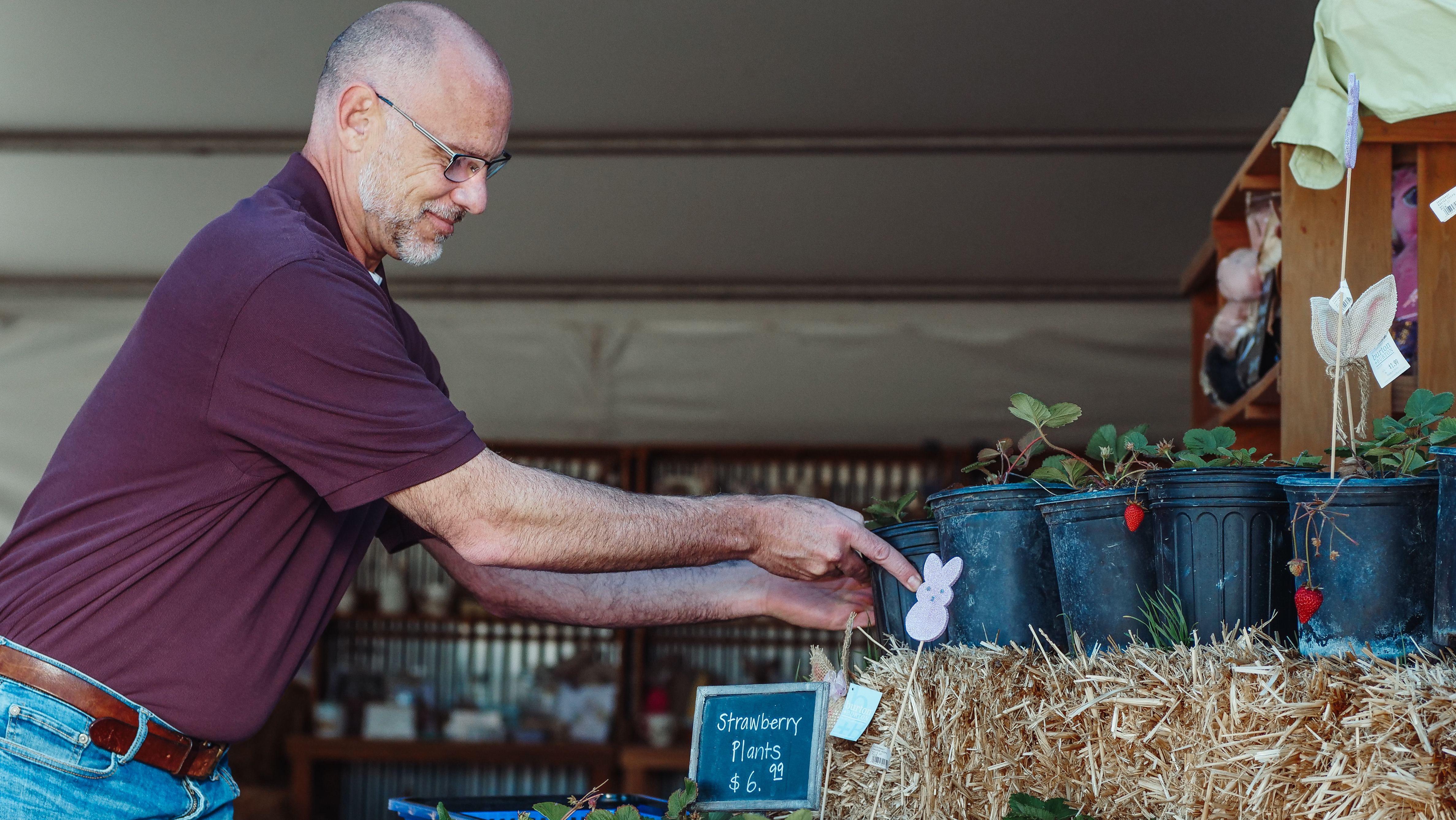 Man selling strawberry plants at a local market