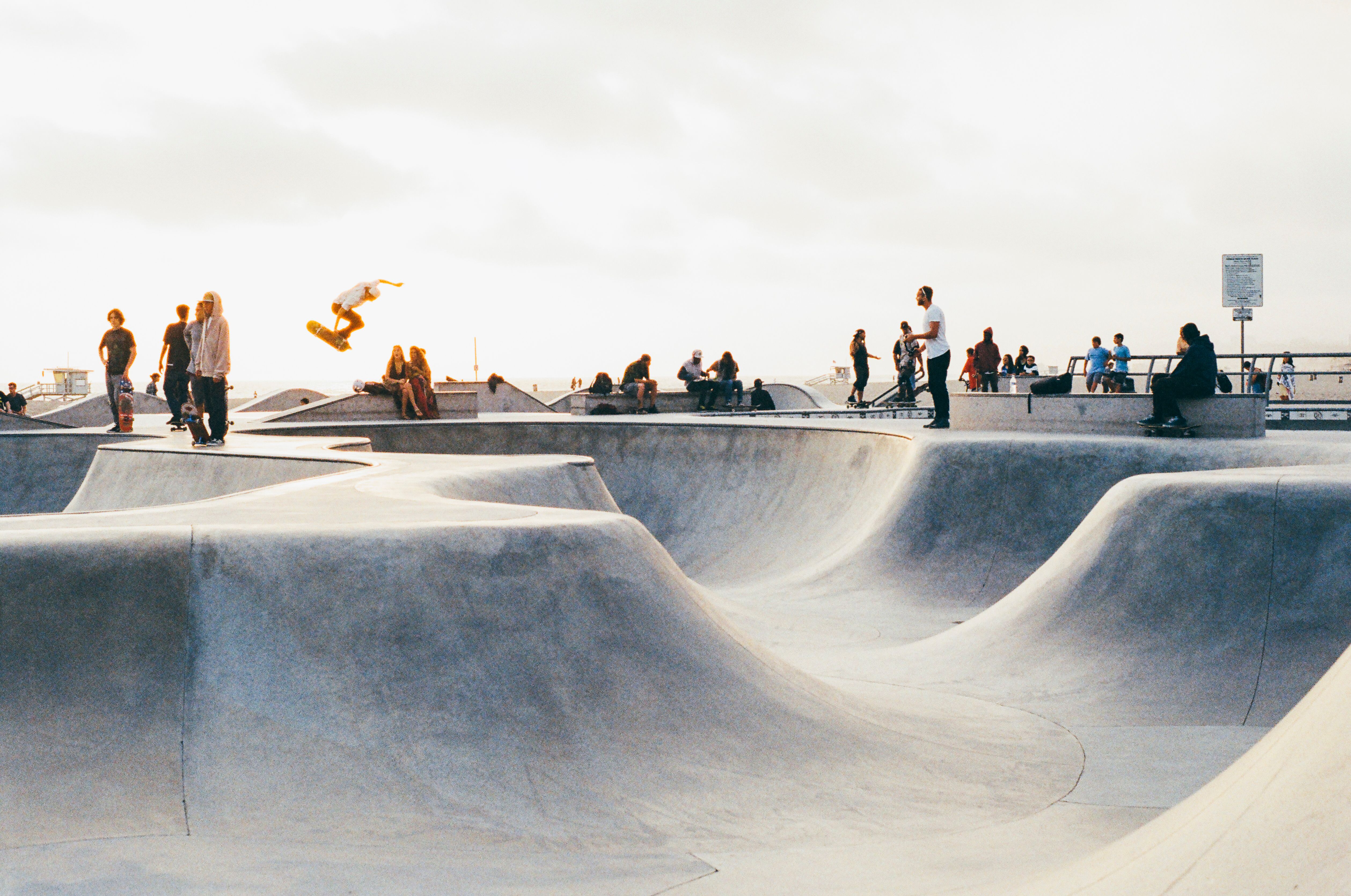 A sculptural concrete skatepark active at the edge of a public waterfront