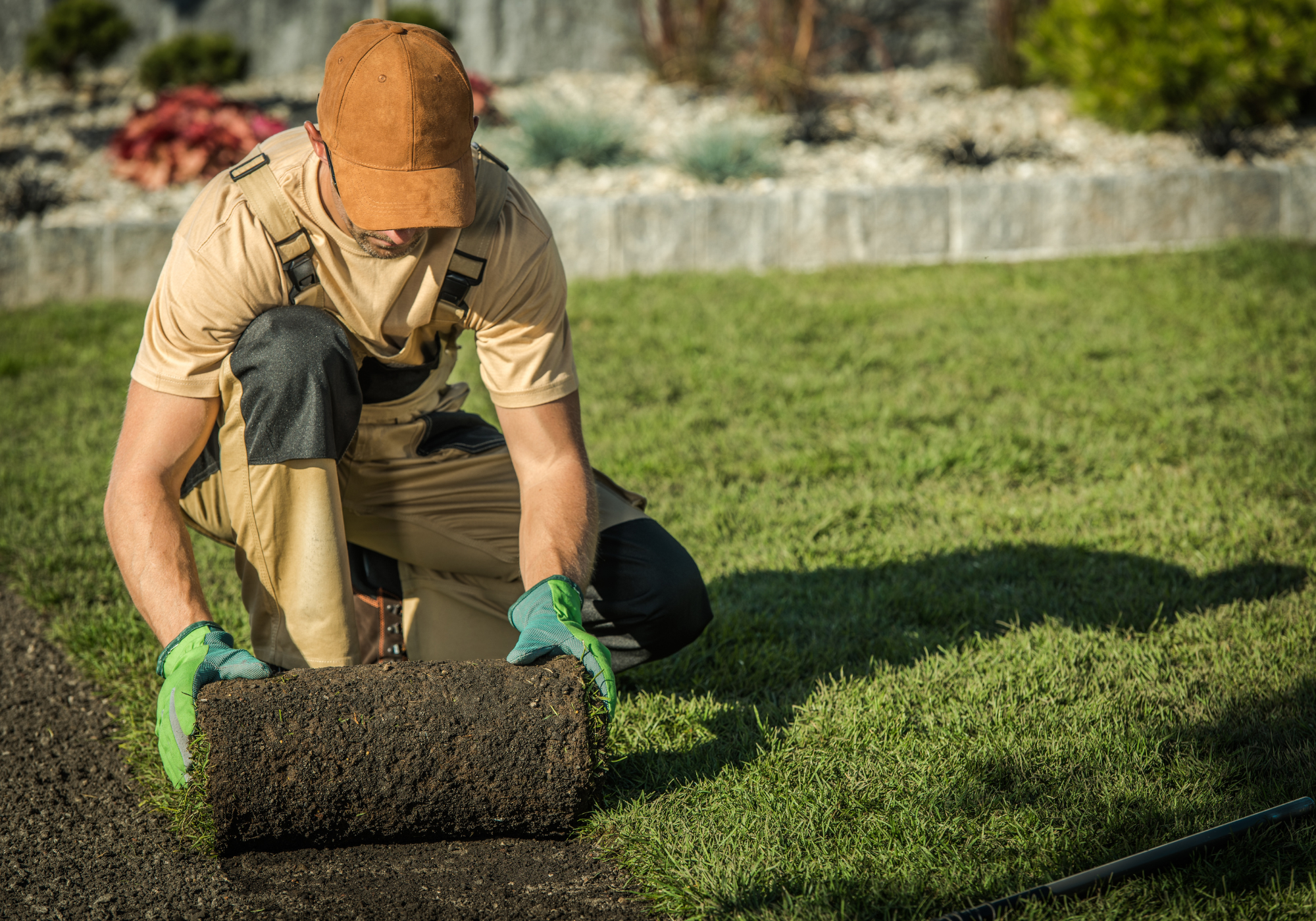 Routine Lawn Maintenance