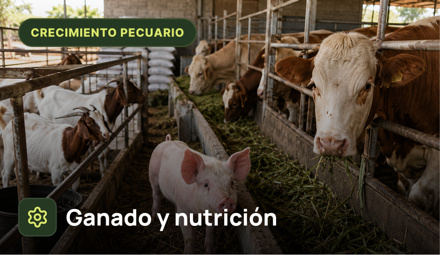 Ganado y nutrición