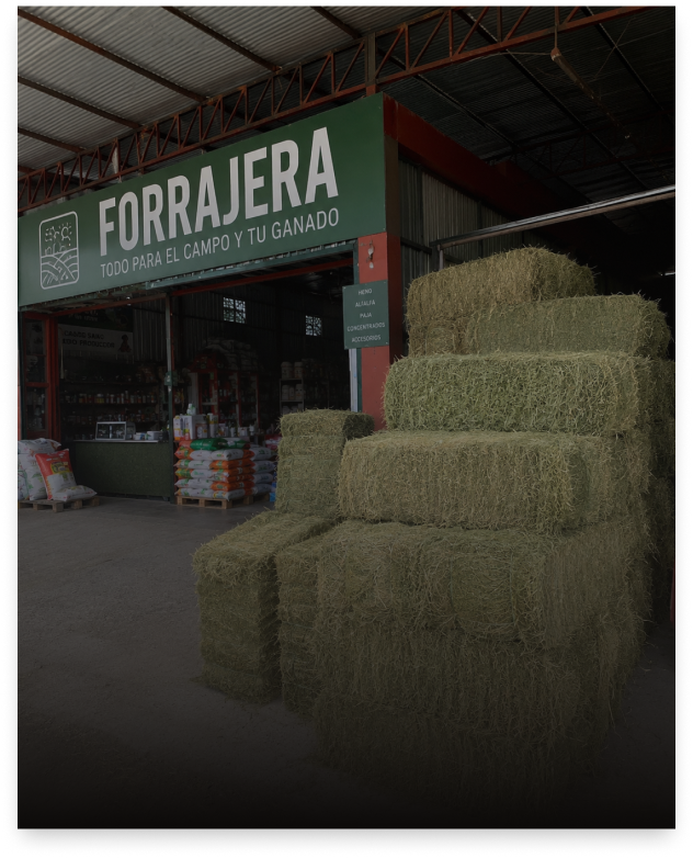 Bodega rural con pacas e insumos