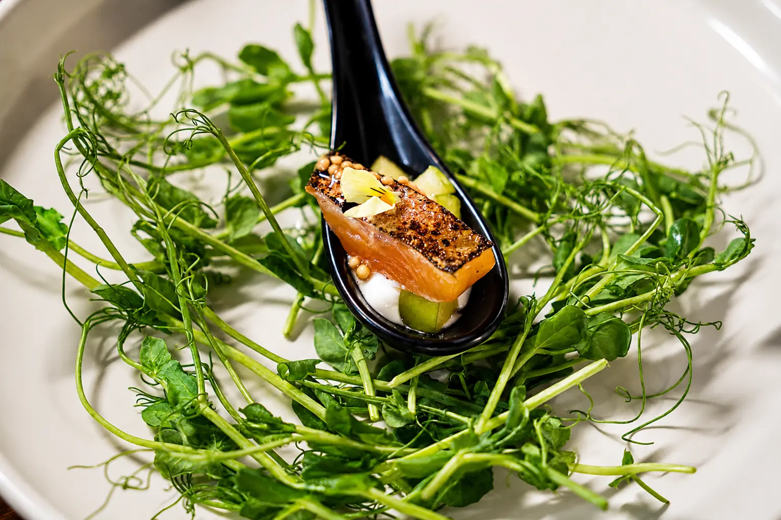Plated salad