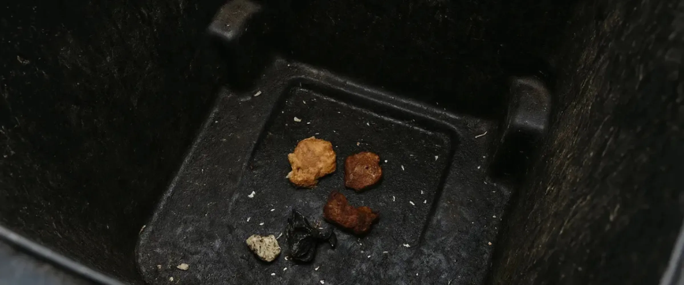 Several small, dry food pieces, varying in color from light brown to dark, rest on the bottom of a dark, textured plastic container. Several small, dry food pieces, varying in color from light brown to dark, rest on the bottom of a dark, textured plastic container.