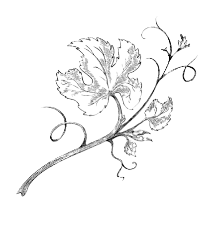 Sprig Motif