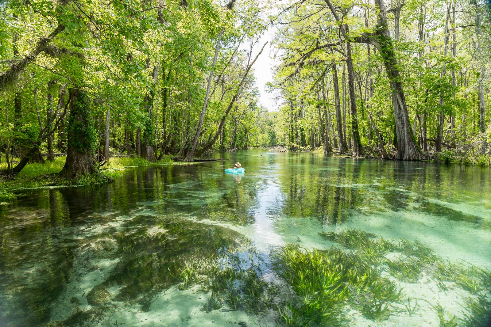 Ichetucknee Springs