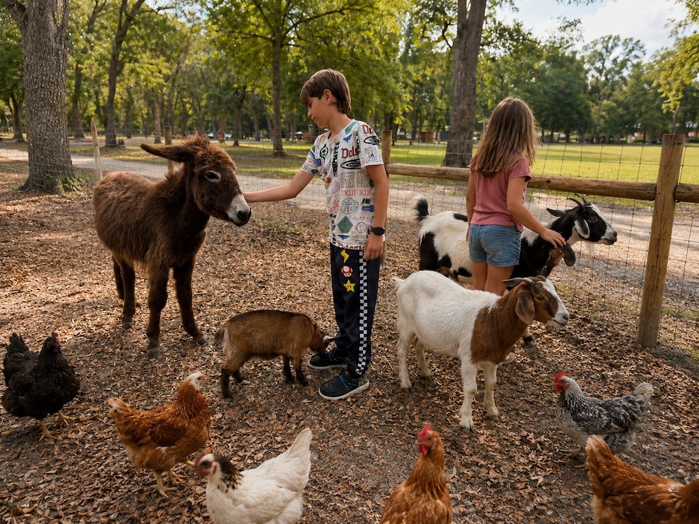 Family-Friendly Nature Escape