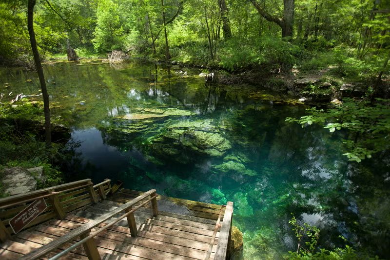 Wes Skiles Peacock Springs