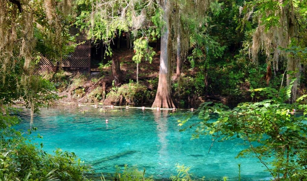 Fanning Springs State Park