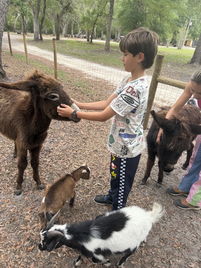 Animals 8