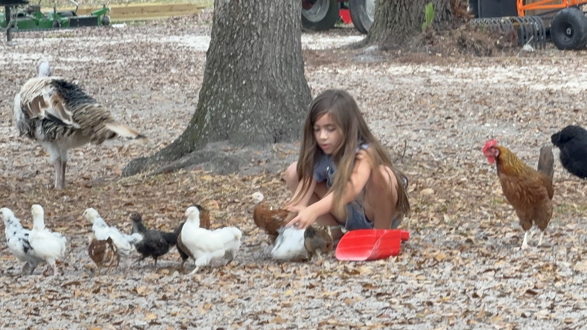 Animals 15