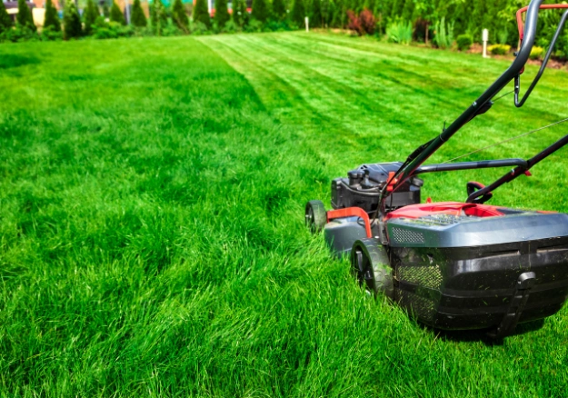 Residential property lawn maintenance service in Auckland