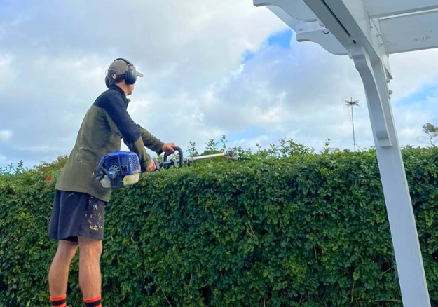 Hedge trimming and tidy-up for Auckland front yard