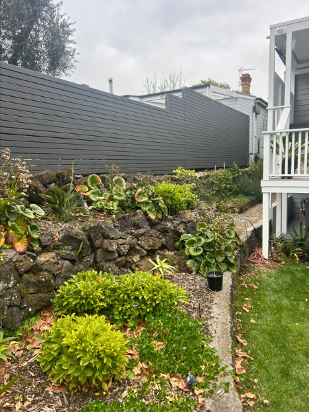 Garden makeover project