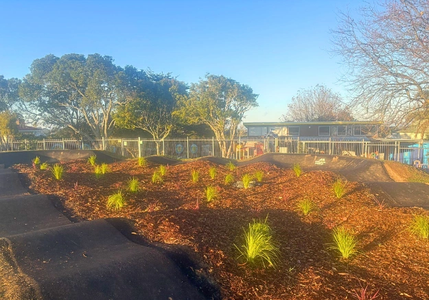 Mulch and planting completed by Backdrop Landscapes in Auckland