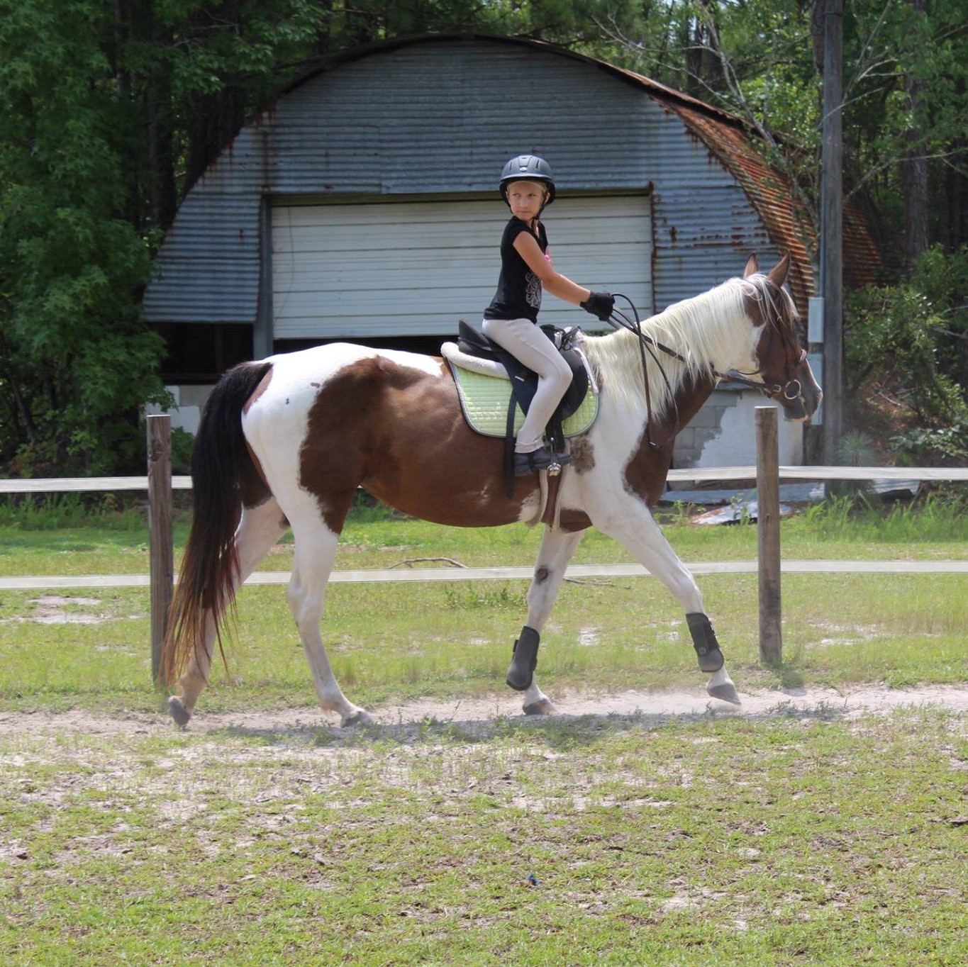 Horseback Riding Lessons in Columbia, SC | Learn to Ride