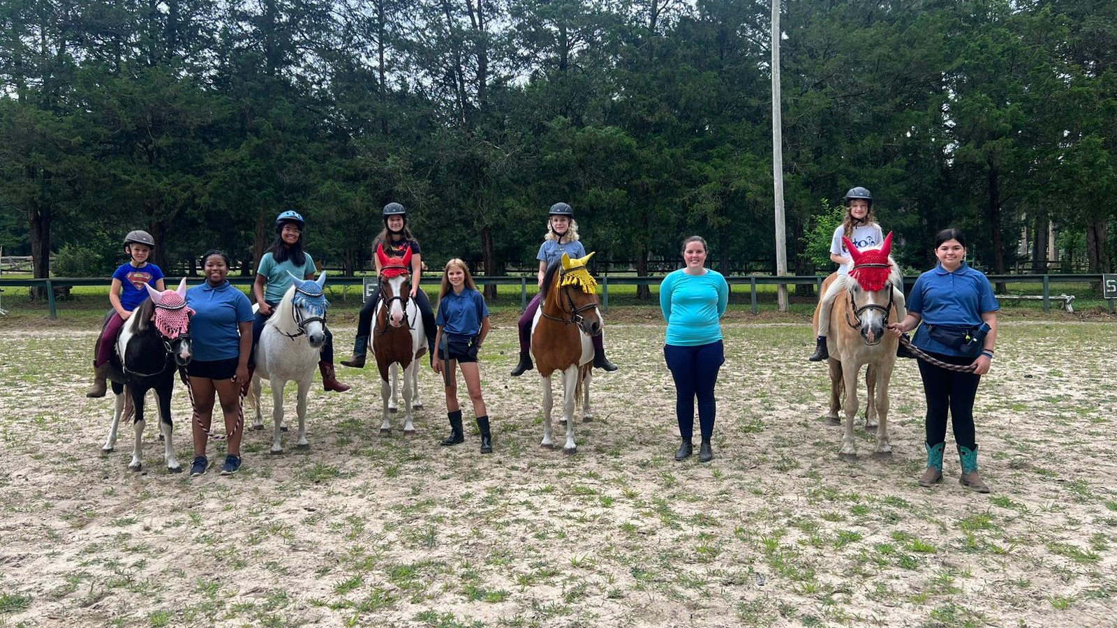 Experience the Best Affordable Horse Camps Near You