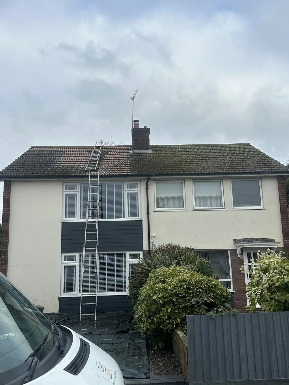 Roof Cleaning