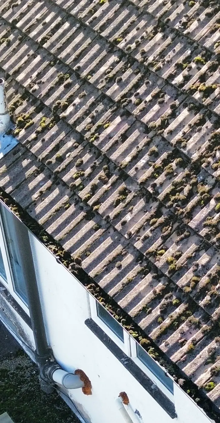 Gutter Cleaning in Oxford & Oxfordshire