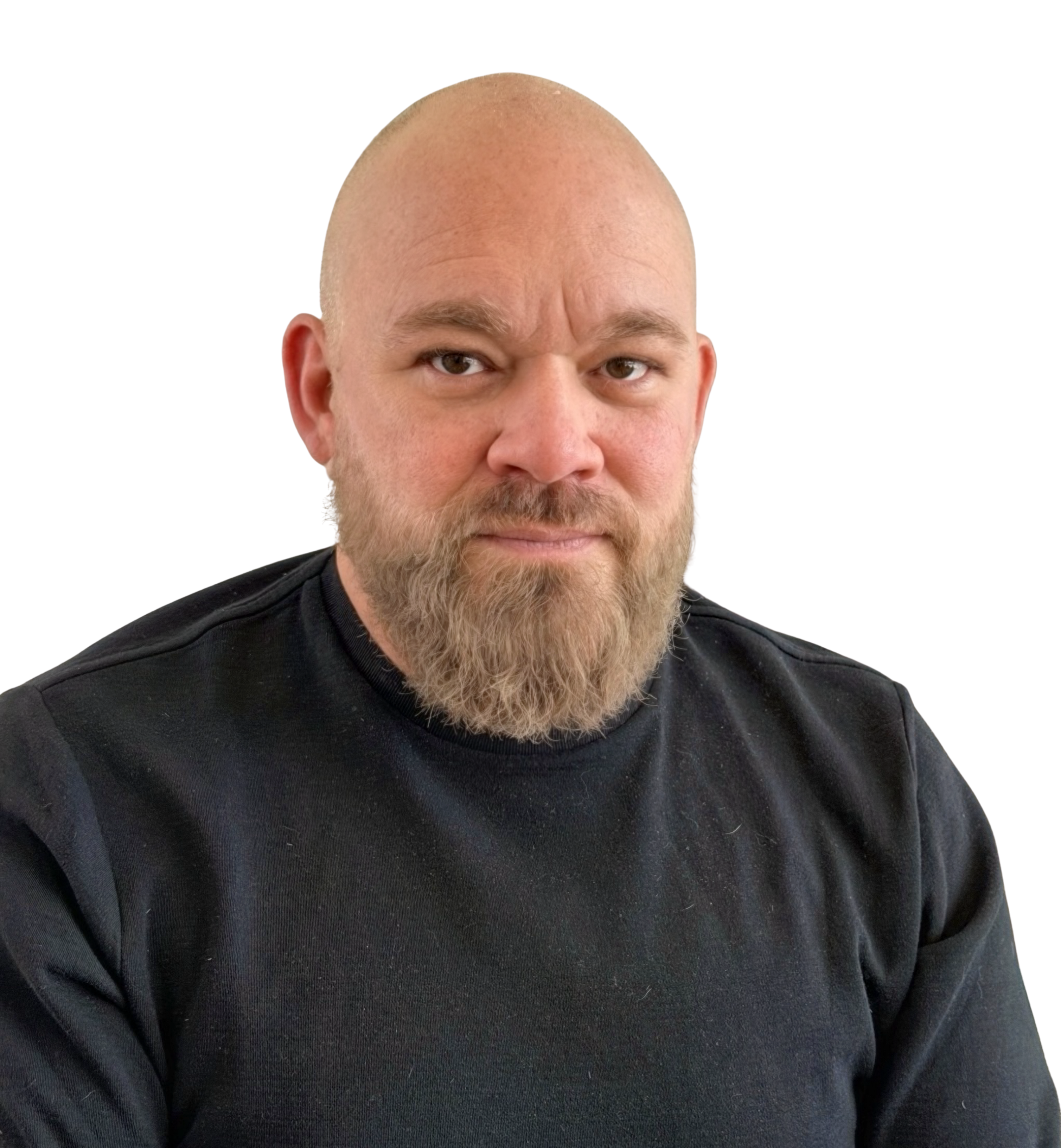 David Strickel — The Stream