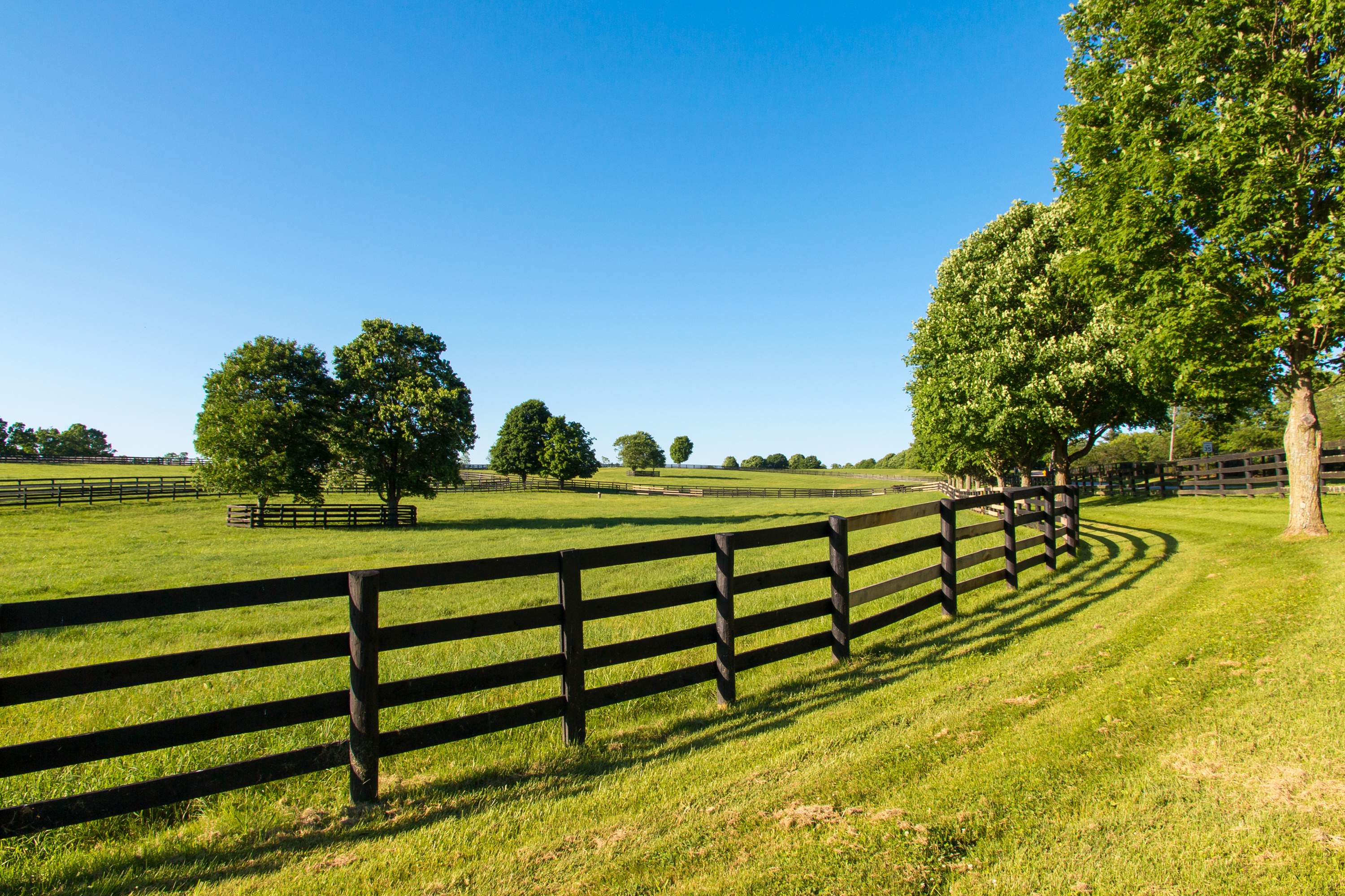 Privacy fence near me