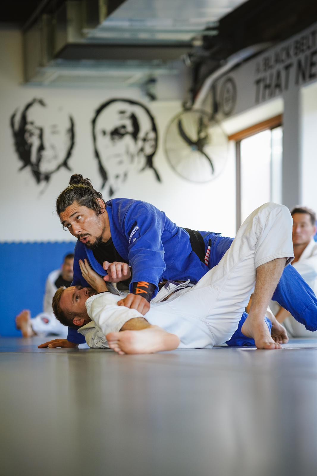 Adults Fundamentals BJJ