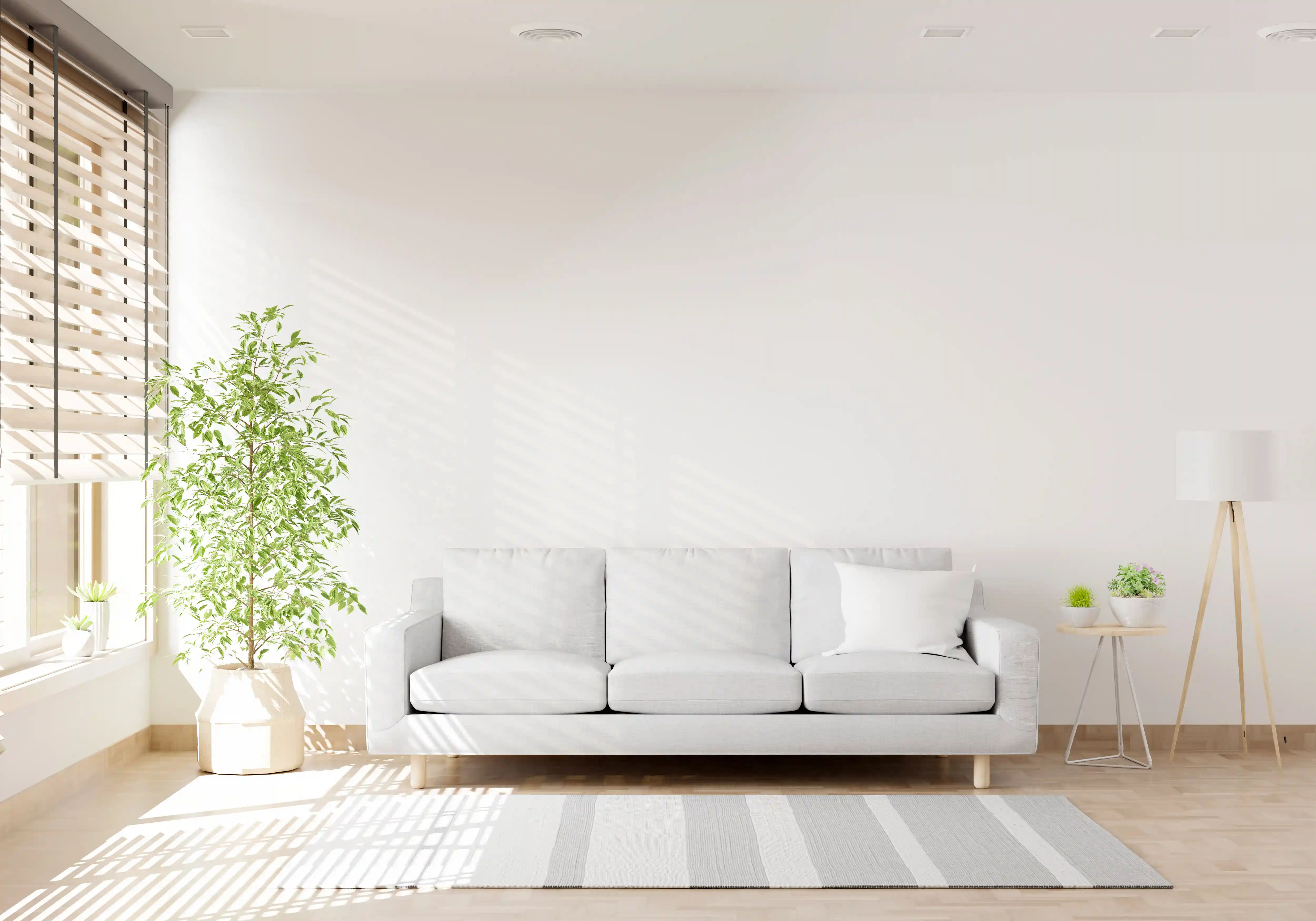 Newly cleaned living room