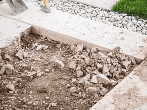 Tree Removal in Ypsilanti