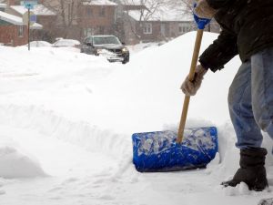 {{ custom_values.service_1 }} in {{custom_values.area_5})