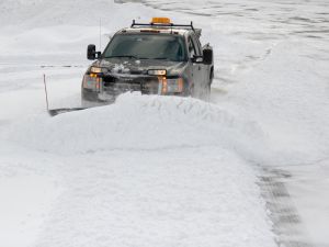 {{ custom_values.service_2 }} in {{custom_values.area_2})