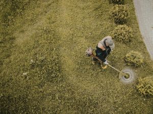 lawn maintenance in middletown