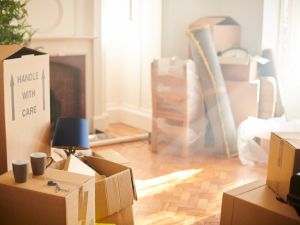 {{ custom_values.service_2 }} in {{custom_values.area_3})