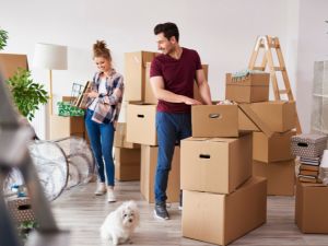 {{ custom_values.service_3 }} in {{custom_values.area_2})