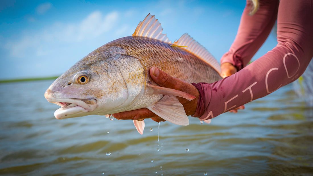 Saltwater fishing in Rockport Texas bay at sunrise