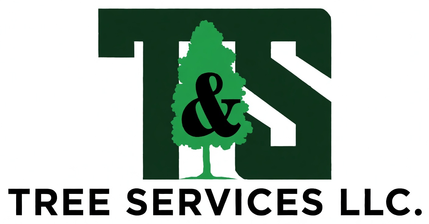 T&S Tree Services LLC Logo