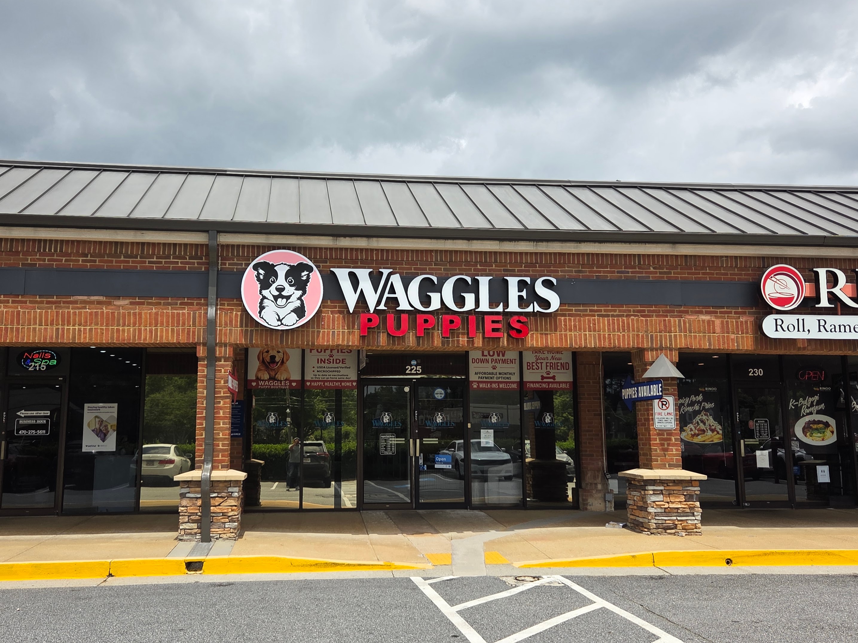 Custom LED channel letter sign for Waggles Puppies installed on a retail storefront in Duluth, GA by Signary Custom Signs & Graphics, featuring illuminated dimensional letters and a custom logo sign.